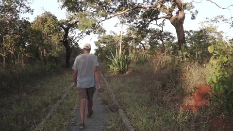 Man Walking Through Burle Marx Park Vídeo Stock 134839078