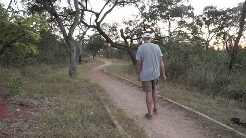 Man Walking Through Burle Marx Park Vídeo Stock 134839378