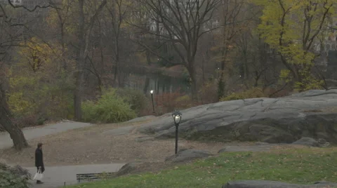 Man Walking Through Central Park, NYC Stock Footage 64268575