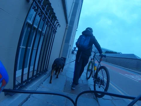 Man walking through city with bicycle and Rottweiler Stock Footage 232962142