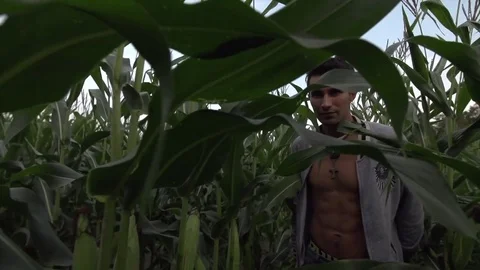 Man Walking Through Corn Field Face on Smiling in Slow Motion Stock Footage 80072378