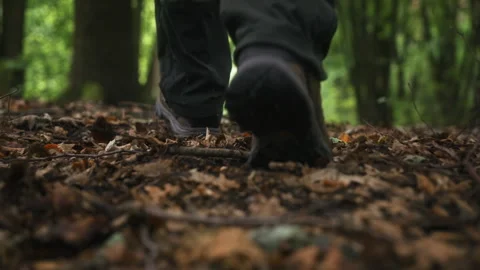 Man walking through deciduous woodland covered with fallen leaves Vídeo Stock 339580703
