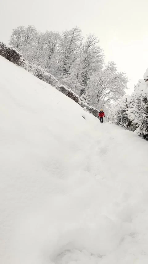 Man Walking Through Deep Snow On Forest Path In Winter Light Stock Footage 340987670