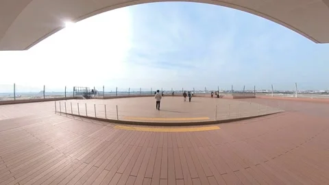 Man walking through the door of observation deck of airport. Future, motivated, Stock Footage 151210557
