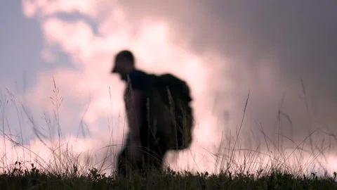 A man walking through dusk light behind long grass moving in the breeze Vídeo Stock 288308179