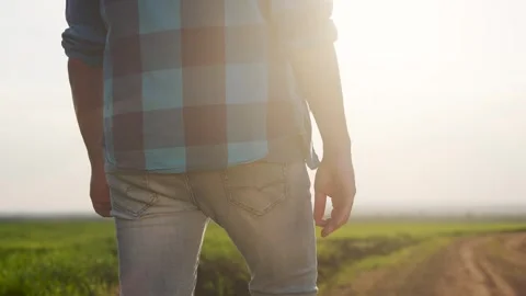 Man walking through field. Close up of farmer walking with his hands. Farmer Stock Footage 320476433