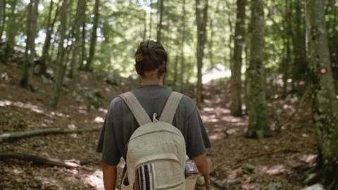 Man walking through a forest and a great dane runs in front of him Stock Footage 121807529