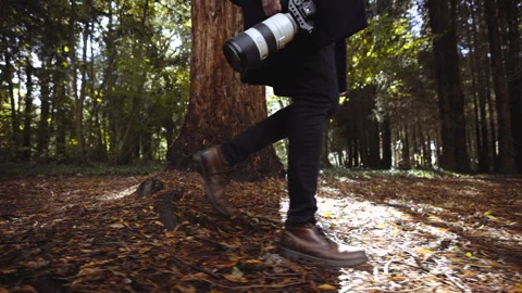 A man is walking through a forest with a camera in his hand Stock Footage 298261414