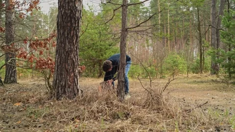 Man walking through a forest carrying a cut log in his hands. Vídeos de archivo 334441336