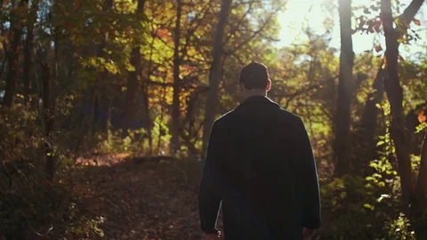 Man Walking Through Forest During Morning Sunrise Stock Footage 81492087
