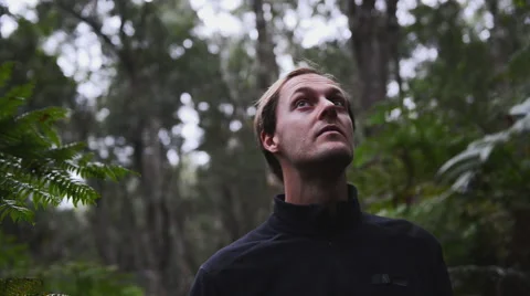 Man walking through forest Stock Footage 53084004