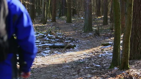 Man walking through forest Stock Footage 58654415