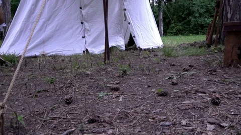 Man walking through the forest Stock Footage 76826873