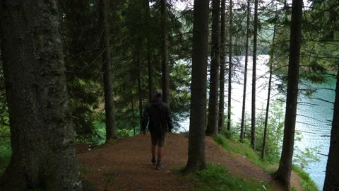 Man walking through the forest on the shore of the mountain lake. Stock-Footage 156719328
