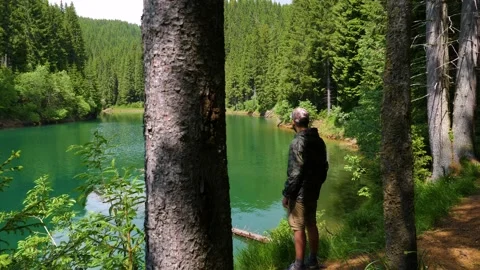 Man walking through the forest on the shore of the mountain lake. Stock-Footage 156719484