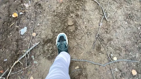 Man walking through the forest, top view 库存影片 253202731