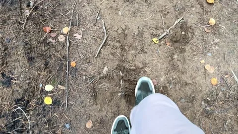 Man walking through the forest, top view 库存影片 253207008