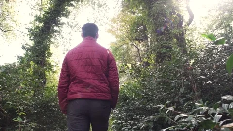 Man walking through the jungle low angle shot with sun light flickering Stock Footage 130415851