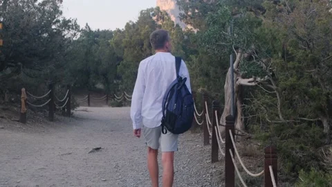 A man walking through a juniper grove against the backdrop of mountains Stock Footage 158308016