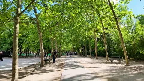 Man Walking Through a Lush Green Park in Paris France Stock Footage 335359655