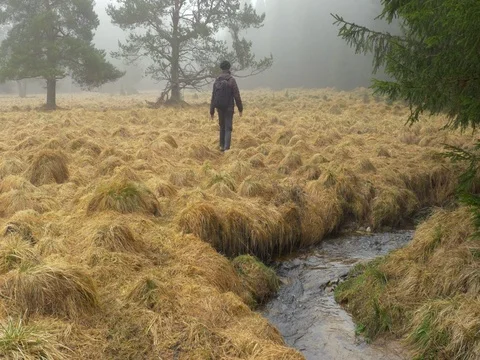 Man walking through mountain meadow Video stock 84270007