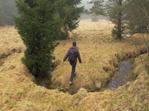 Man walking through mountain meadow Video stock 84270046