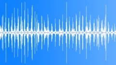 Man walking through the night forest with chirring grasshoppers 4Sound Effect