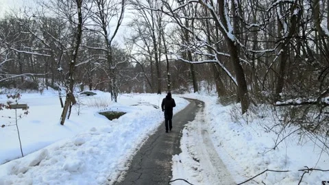 Man Walking Through Park During Winter Snow Storm Stock Footage 158959432