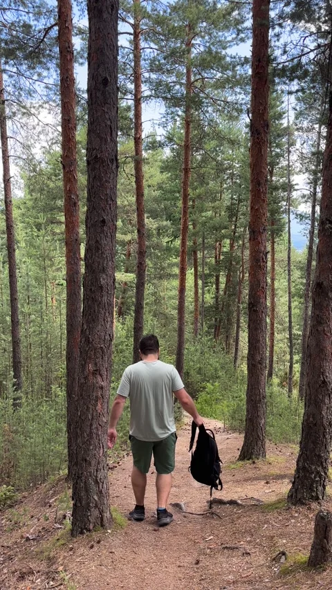 Man walking through a pine forest on a dirt path 스톡 동영상 315770040