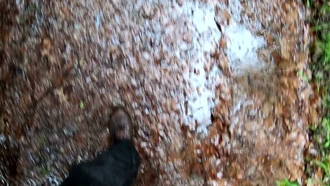 Man walking through puddles of rain in the forest Stock Footage 108584323