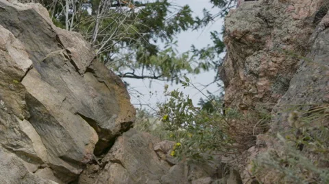 Man walking through rock opening Stock Footage 54708291