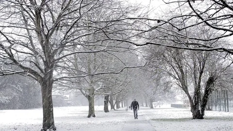 A man walking through a snow-covered park. Vídeos de archivo 83279554