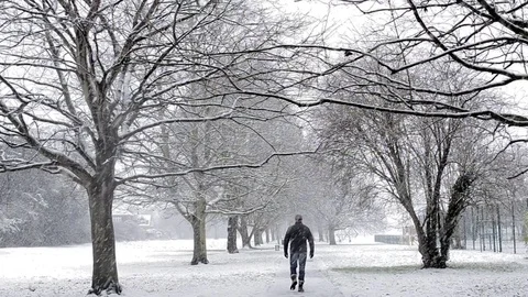 A man walking through a snow-covered park. Stock Footage