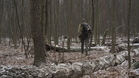 Man walking through snowy forest carrying gear during winter trek Stock Footage 308362016