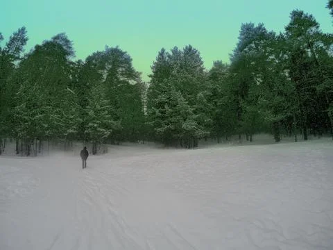 Man walking through the snowy forest Stock Photos