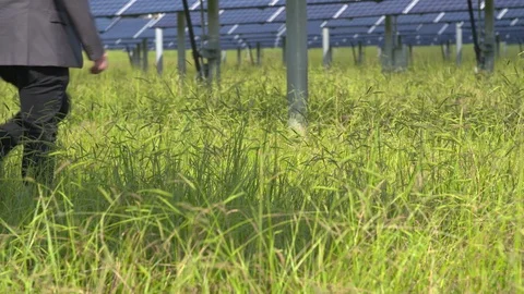 Man walking through solar panels in field Stock Footage 93518654