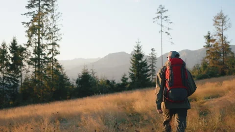 Man walking through tall dry grass on meadow hill overlooking mountain peaks Stock Footage 283010251