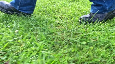 Man walking through tall green grass close up legs and shoes Stock Footage 321242015