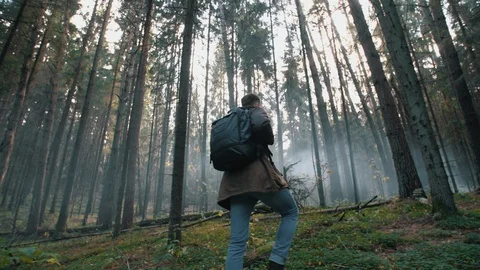 Man walking through tall trees in misty forest, trekking in pine woodland Stock Footage 119044036
