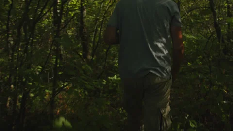 Man walking through the thickets of the forest Vídeo Stock 140765457