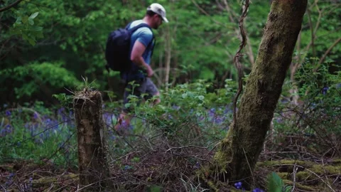 A man walking through thorns and brambles in a forest while wearing shorts Stock Footage 130915726