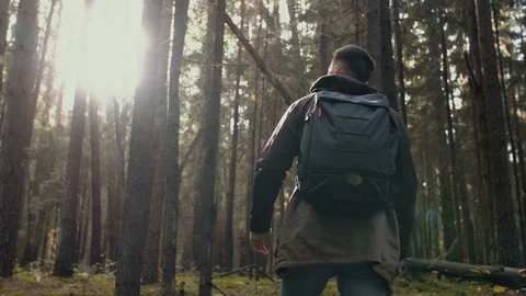 Man walking through trees in forest. Traveler hike with backpack in woodland Stock Footage 119022710