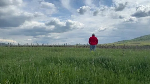 Man Walking Through Vineyard with Mountain Landscape in Background Stock Footage 335808344