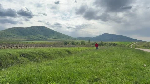 Man Walking Through Vineyard with Mountain Landscape in Background Stock Footage 335808492