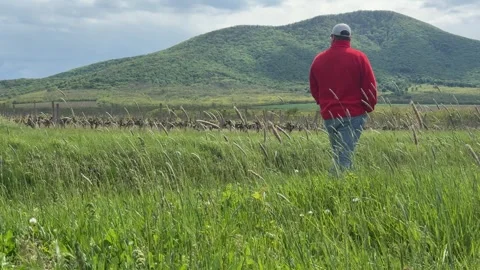 Man Walking Through Vineyard with Mountain Landscape in Background Vídeos de archivo 335808610
