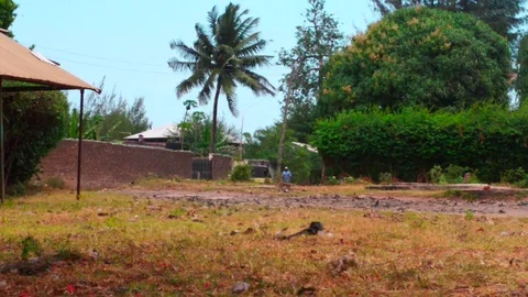 Man Walking Through Windy African Field Video stock 79020123