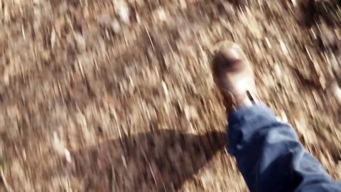 Man walking through the woods Stock Footage 133425700