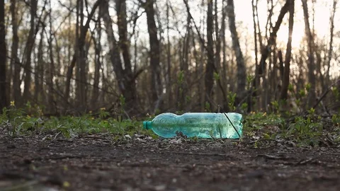 A man walking through the woods picks up a plastic bottle Video stock 129083300