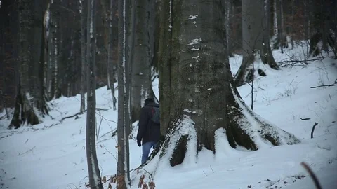 Man walking through the woods at winter Video stock 72194476