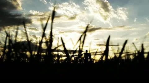 Man Walking Toward Camera, Color Corrected Video stock 12532342